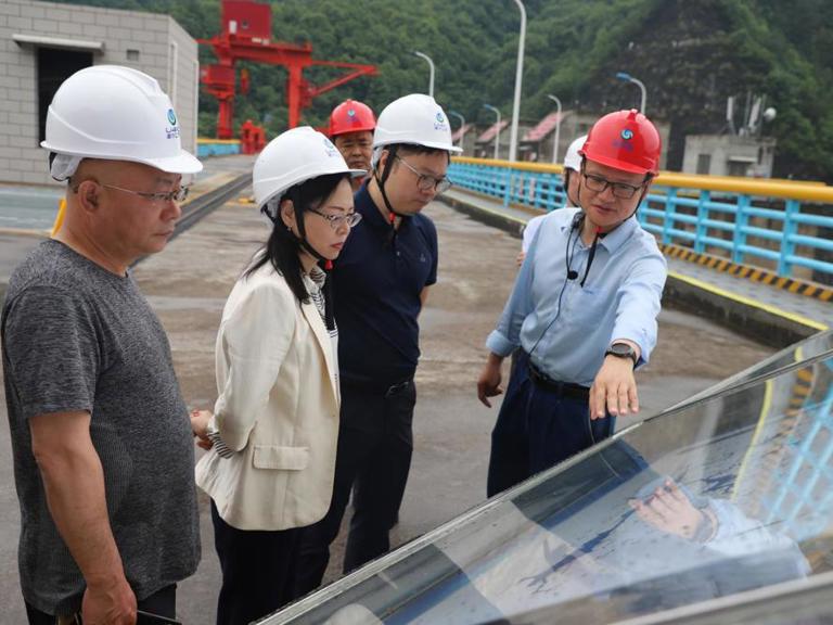 湖南省水利厅工作组赴皂市水库查抄领导工作